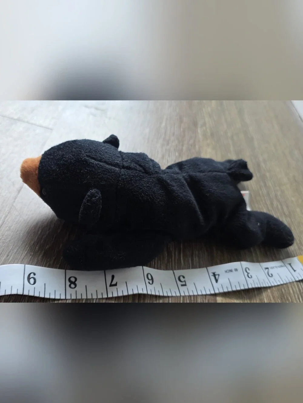 Ty Black Plush Bear with Orange Snout
